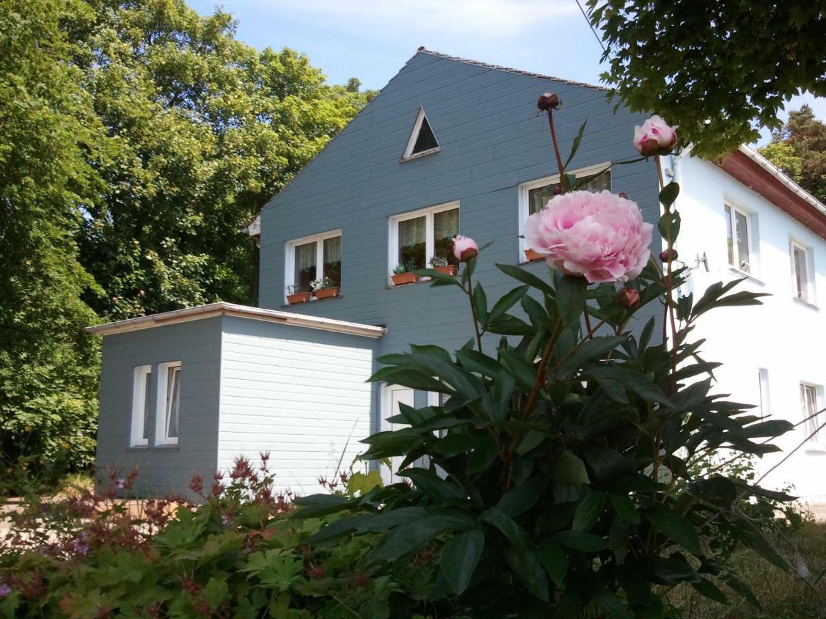 Gasthof Blaues Haus Hotel Bastorf Buitenkant foto